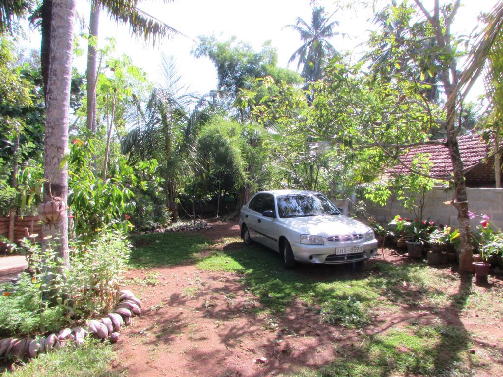 Rainbow Guest House Mirissa Bagian luar foto